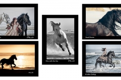 Wind Swept Manes Note Cards Horse Photography by Jody L Miller