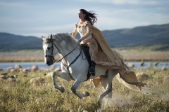 Fantasy Ride-Equine Photographer Jody L Miller