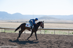 AZDowns-5319