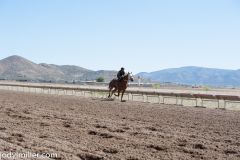 AZDowns-5396