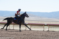 AZDowns-5416