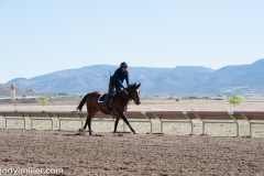 AZDowns-5419