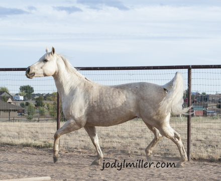 Lexi_0806_web