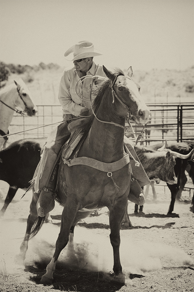 Broken_Horn_D_Ranch_Dave Cowboy Horse Photo