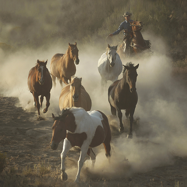 The Drive-Cowboy Photography by Jody Miller