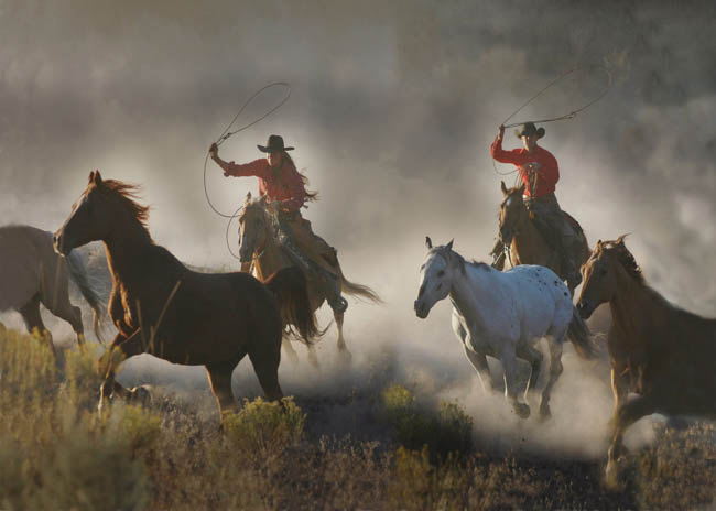 Teamwork! - Cowboy Photography by Jody Miller