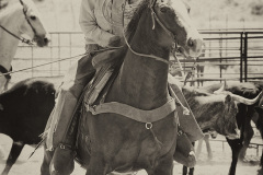 Broken_Horn_D_Ranch_Dave Cowboy Horse Photo