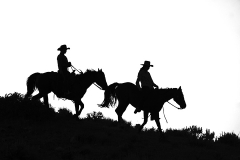 Cowgirl silhouettes riding