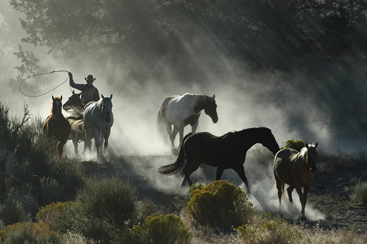 Cowboy beam of light-Cowboy Photography by Jody Miller