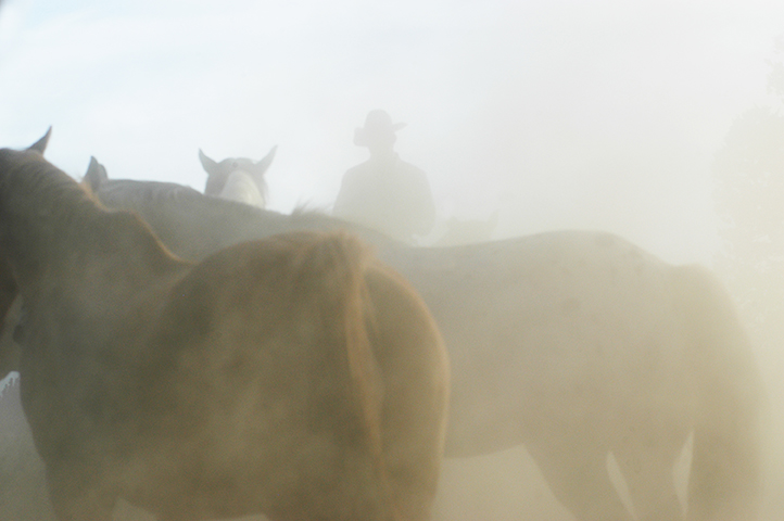 Cowboy in the mist-Cowboy Photography by Jody Miller