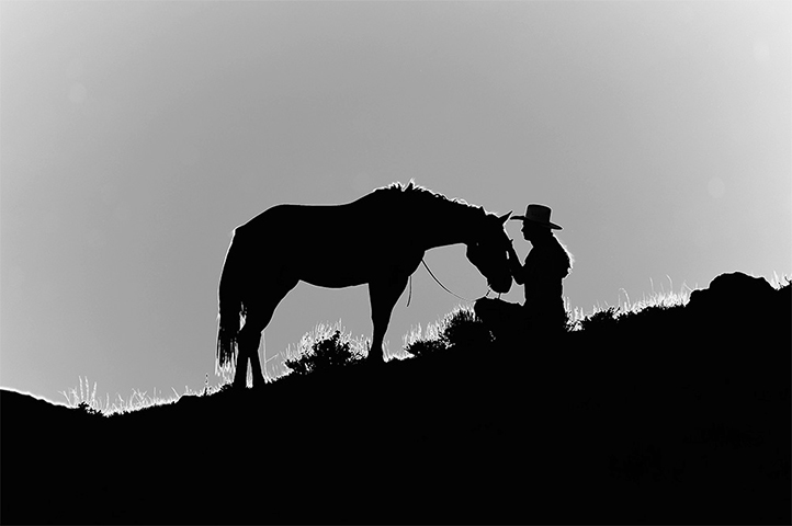 Cowgirl Sitting Silhouette Photo by Jody L. Miller