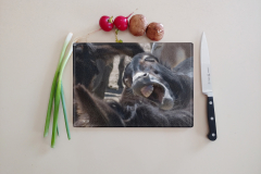 DonkeyLaugh_Horse_CuttingBoard