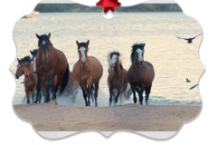 Emergence-Salt-River-Wild-Horse-Christmas-Ornament