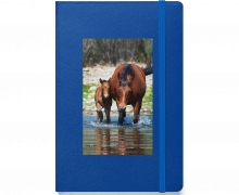 Mare-and-Foal-Crossing-Hardcover-Notebook-Journal