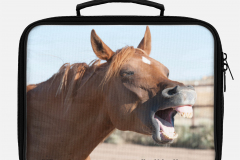 Horse-Grinning-Lunchbox