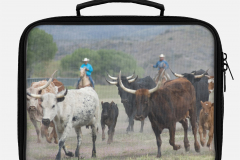 Moving-Cattle-Lunchbox