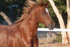 JLM_0053