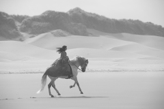 Trust your journey-Horse Photography by Jody L.  Miller