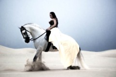 Battle The Dunes - Horse Photography by Jody Miller