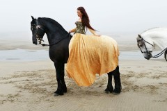 Beach Stance - Horse Photography by Jody L.  Miller