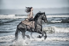 Gothic Gallop -  Horse Photography by Jody Miller