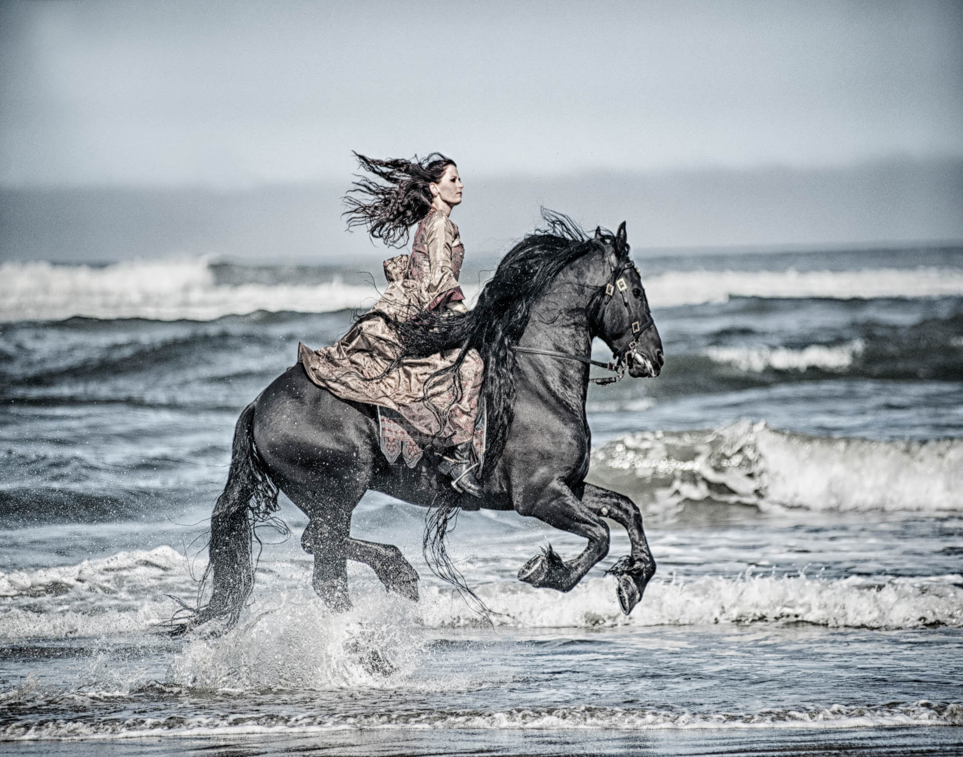 Gothic Gallop -  Horse Photography by Jody Miller