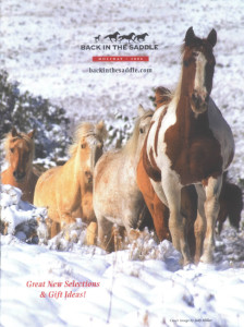Back in the Saddle Catalog