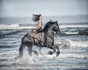 The Horse Photograph - Jody Miller, Prescott Horse Photographer