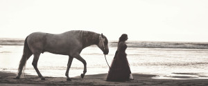 Jody Miller Fine Art Equestrian Photography