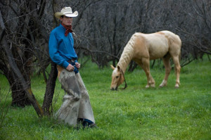 Horse Photo Shoot- Photographer Jody Miller