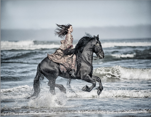 Fine Art Equestrian Photography