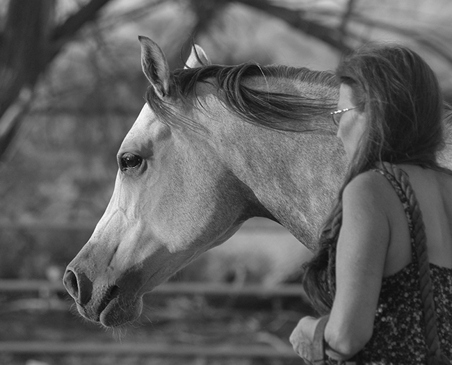 Jody Miller Horse photo special moment