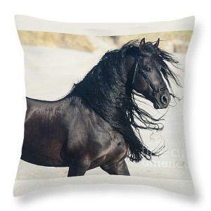 Home Decor Horse Photo throw pillow