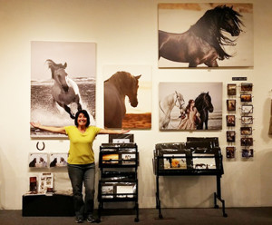 Horse Photographer Jody Miller Arts Prescott Gallery