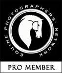 Horse Photographers Equine Photographers Network