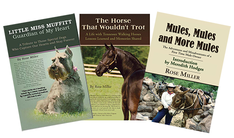 Horse books by Rose Miller