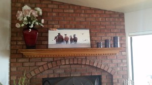Salt River Wild Horse Art-horse photo home design Jody Miller photography