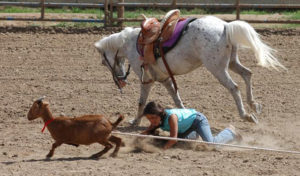 Horse picture blooper Yavapai County Junior Rodeo