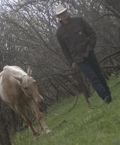 Cowboy and Palomino Horse Photo-Equine Photographer Jody Miller