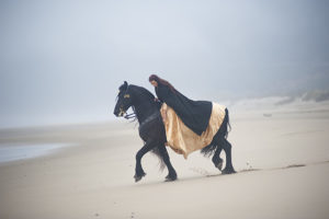 Friesian Horse on beach