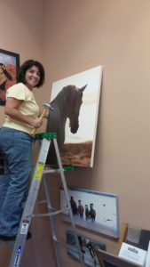 Sedona Arizona Horses and Art Gallery - Equine Photographer Jody Miller