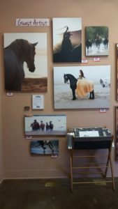 Village Gallery Sedona Arizona-Equine Photographer Jody Miller