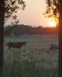 Horse Ranch summer sunset photo-Jody L Miller Photography