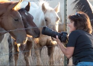 Prescott Arizona Horse Photographer, Jody L Miller