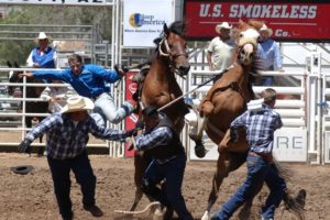 World's Oldest Rodeo Prescott Arizona Cowboy Photographer Jody L Miller