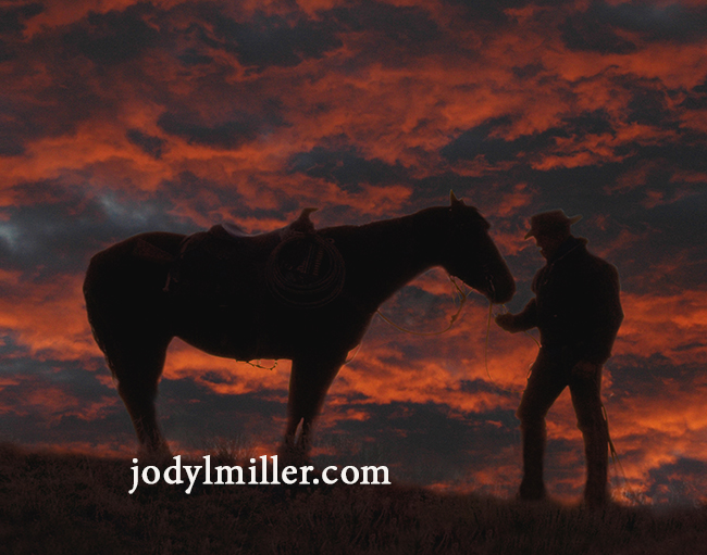 Horse Photograph Donation by Jody L Miller