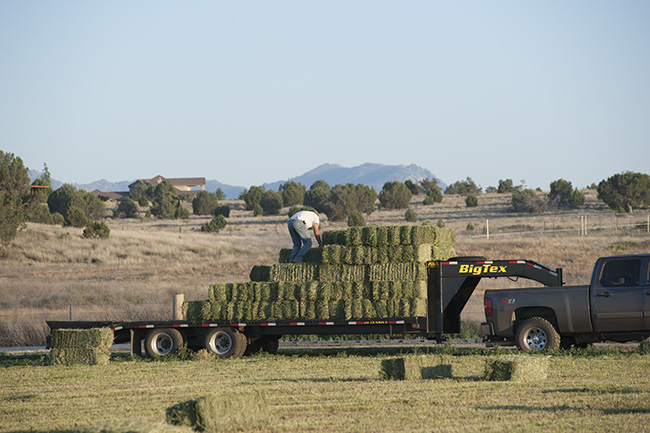 Summer time on Horse Ranch loading hay-Horse photographer Jody Miller