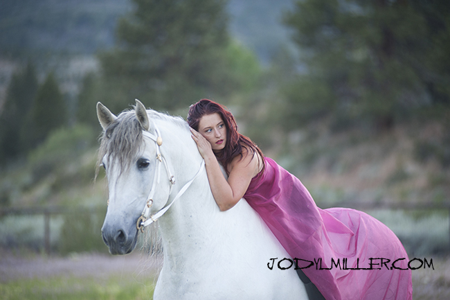 Elegant Equestrian-Jody L Miller Horse Photography