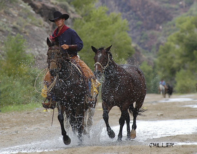Arizona Cowboy Poets Gathering-Horse Photographer Jody L Miller