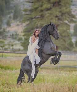 Elegant Equine Black Friesian Stallion Horse- Jody L Miller Photographer